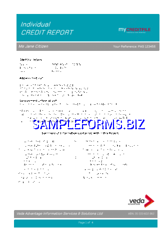 Sample Credit Report 2 pdf free